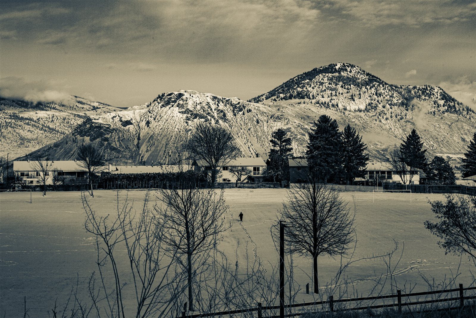 Landscape