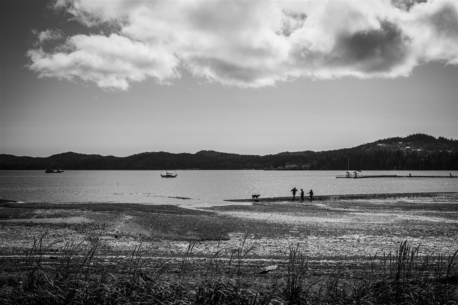 Landscape